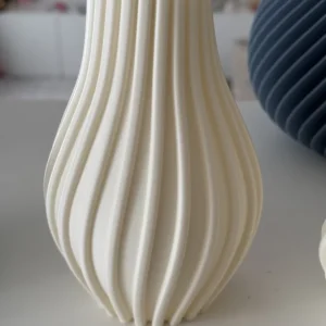 Erica Vase mit Trockenblumen Set