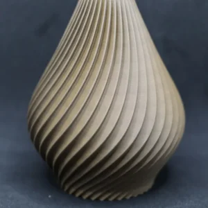 Spiral Vase mit Trockenblumen Set